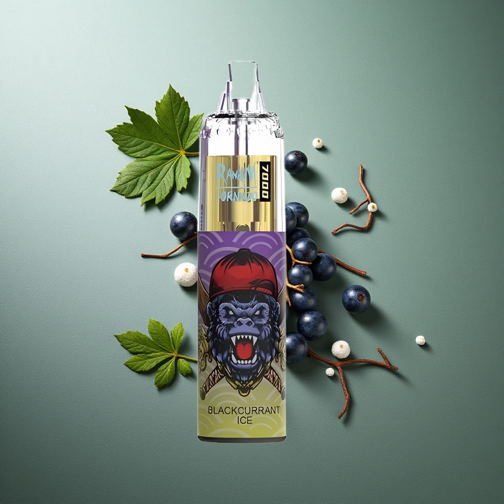 Blackcurrant Ice RandM Fumot Tornado 7000 Puffs UK Vape Wholesale Mesh Coil Type-C